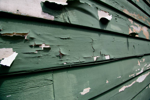 Best Siding Removal and Disposal  in USA